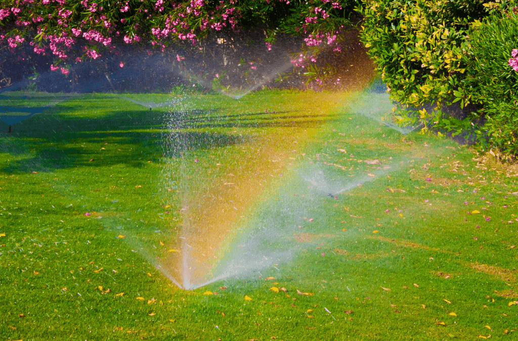 Irrigation Services in Dubai