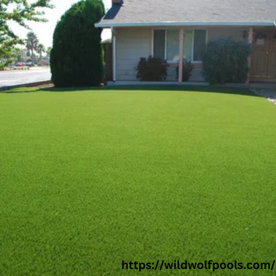 Real Grass and Artificial Grass