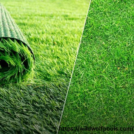 Real Grass and Artificial Grass